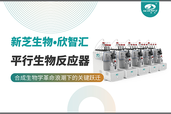 培养菌株和评估工艺参数影响太难太慢？平行生物反应器提供关键解决方案！