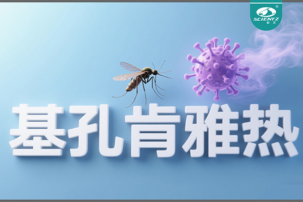 基孔肯雅热疫情升级！新芝生物硬核技术助力病毒精准诊断
