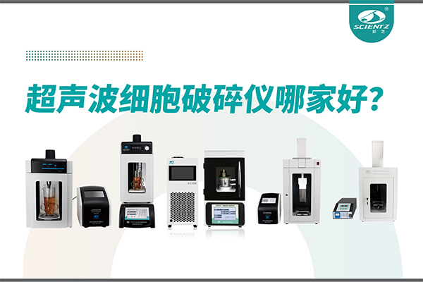 超声波破碎仪厂家推荐：深耕本土，服务全球-宁波新芝生物
