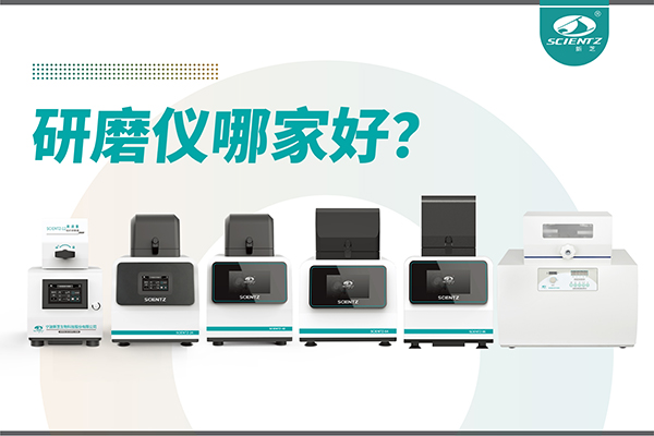 研磨仪哪家好？宁波新芝生物研磨仪厂家专注样品处理