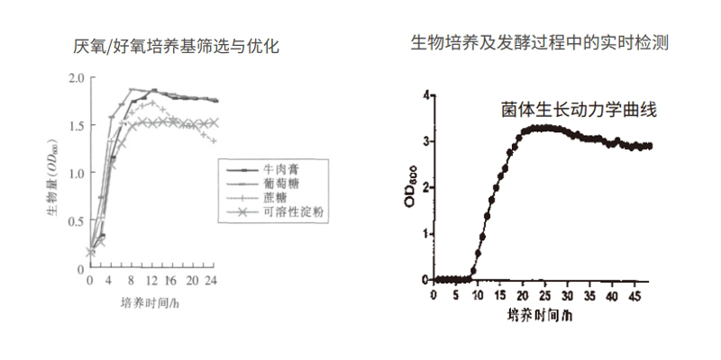 过程安全，结果精准