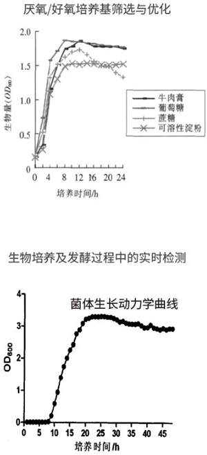过程安全，结果精准