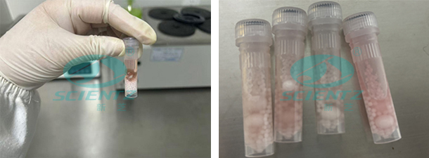 undefined 实验前后对比图