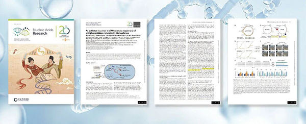微信图片_20251222130741