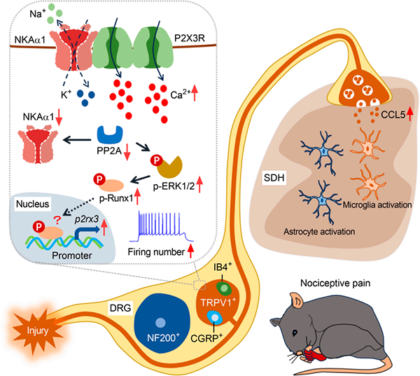 微信图片_2026-01-22_133636_948
